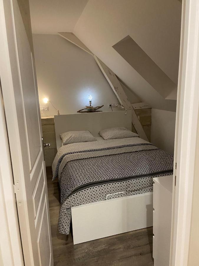 Appartement Du Chateau De La Caillerie Avoine Екстер'єр фото
